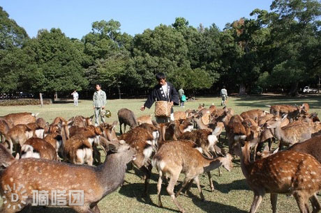 时代美容美发化妆学校课外生活